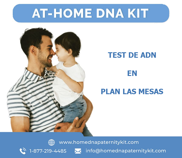 Test de ADN en Plan las Mesas